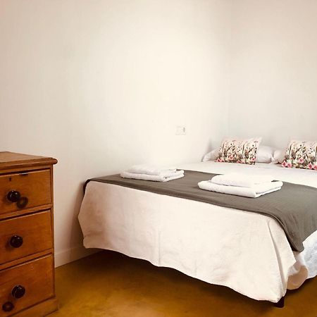 Apartamentos Tibula Museo 梅里达 外观 照片
